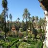 Spanish courses in Sevilla 5